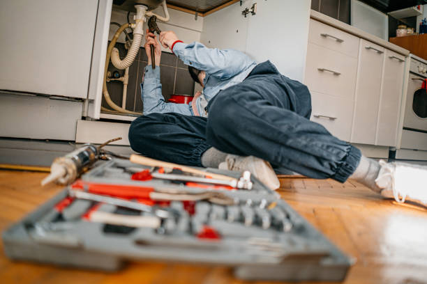 Best Leak Detection Services  in Mogul, NV