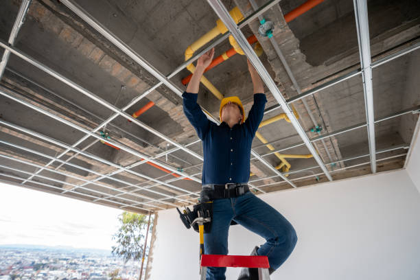 Best Plumbing Repair Near Me  in Mogul, NV